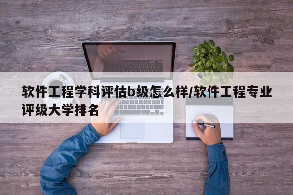 软件工程学科评估b级怎么样/软件工程专业评级大学排名