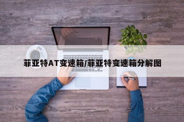 菲亚特AT变速箱/菲亚特变速箱分解图